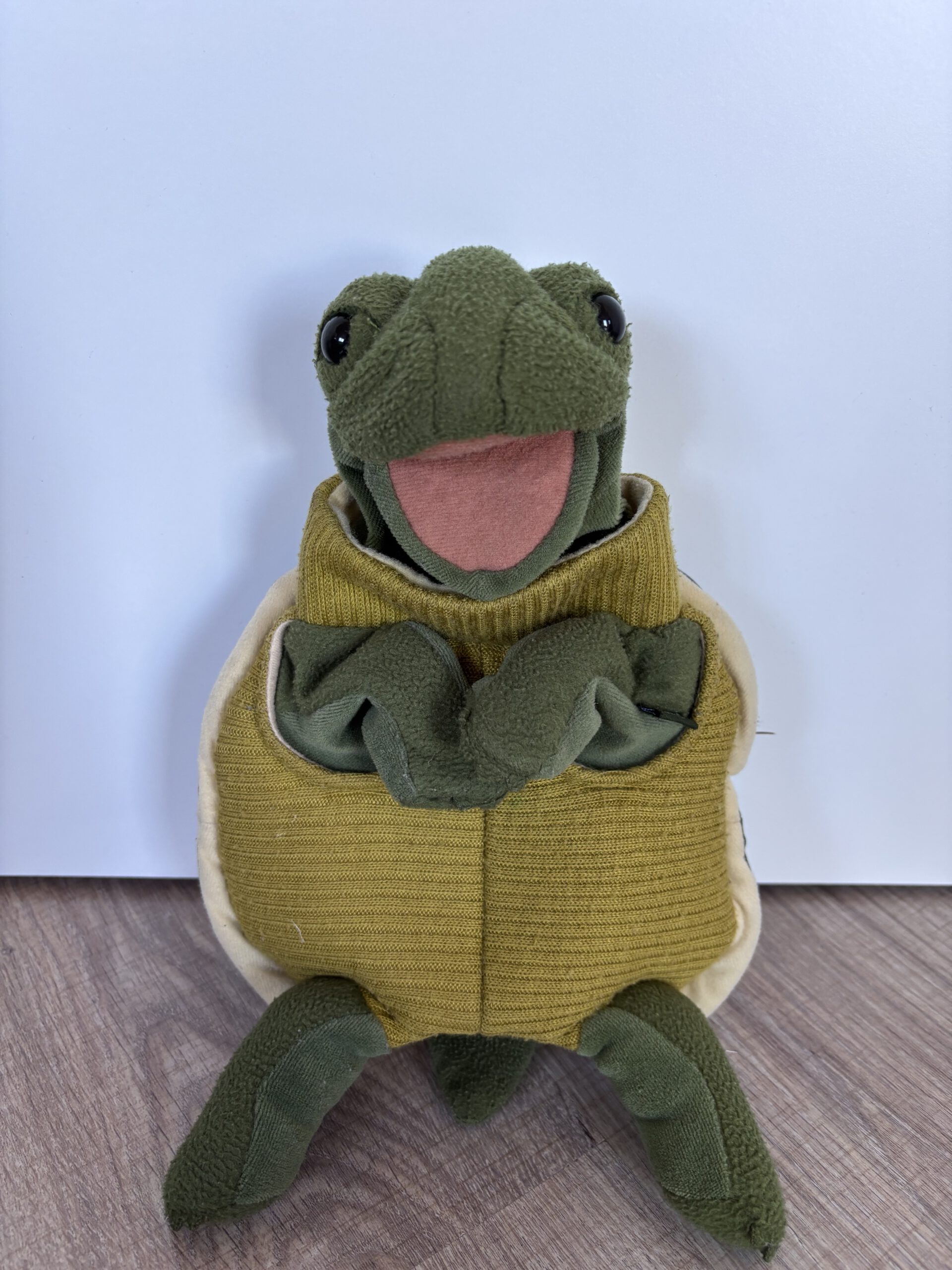 1c - Schildkrötenklasse